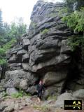 Feuersteinklippen bei Schierke im Harz, Sachsen-Anhalt, (D) Brockengranit - Oberkarbon (14) 26. Juni 2012.JPG